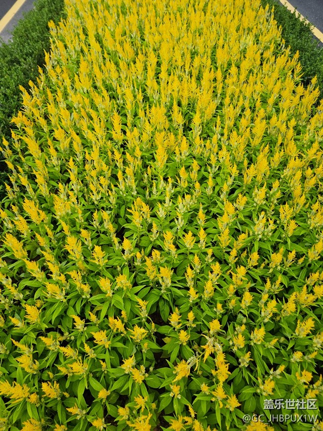 【捕捉生活中的對(duì)比色】公園色彩