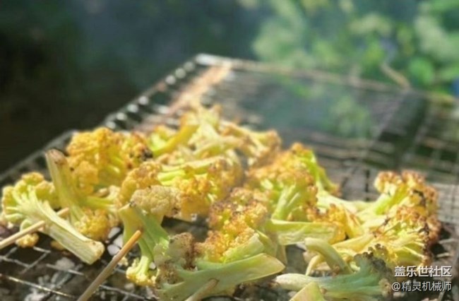 【賞味清秋】秋日戶外燒烤