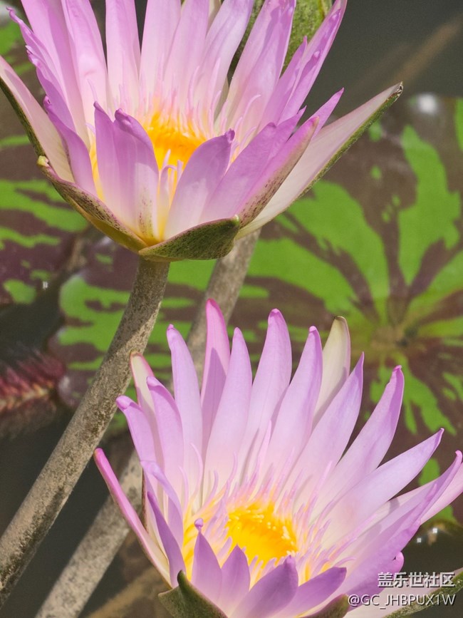 【被遺忘的角落】公園一角