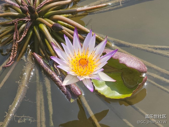 【被遺忘的角落】公園一角