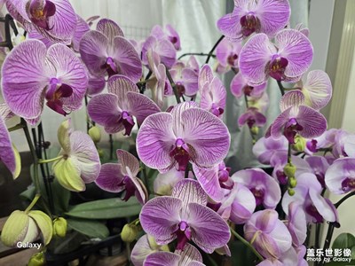 【小團(tuán)圓】+幸福時(shí)光