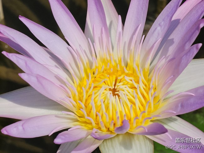 【被遺忘的角落】公園一角