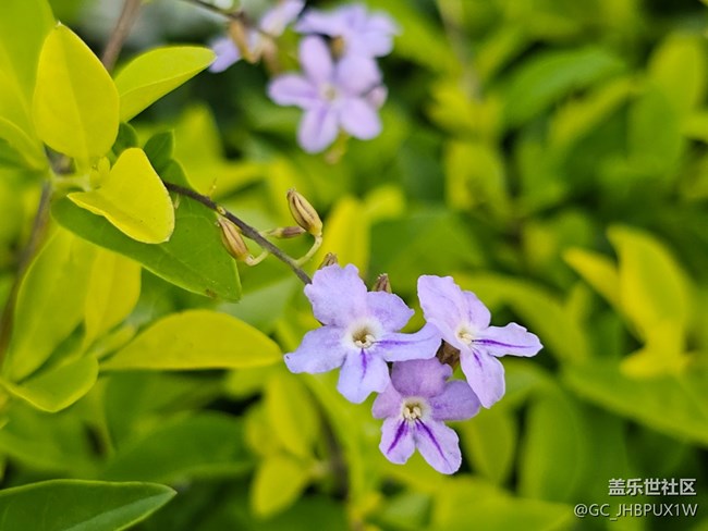 【捕捉生活中的對(duì)比色】公園色彩