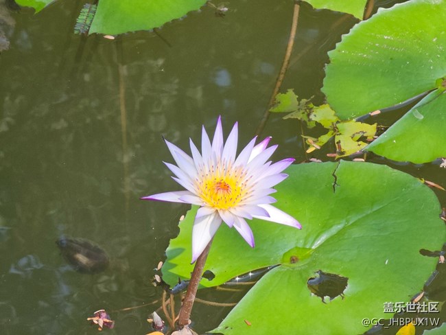 【被遺忘的角落】公園一角