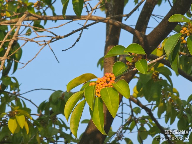 【捕捉生活中的對(duì)比色】公園色彩