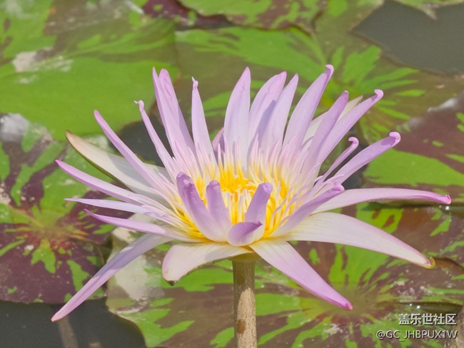 【被遺忘的角落】公園一角