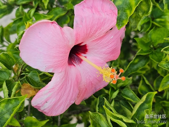 【捕捉生活中的對(duì)比色】公園色彩