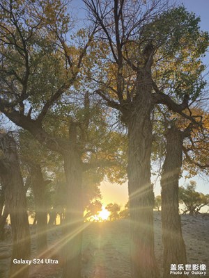 風(fēng)景就在身邊