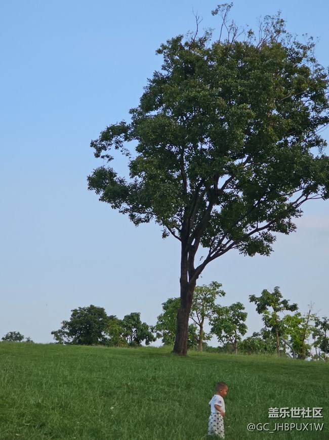 【捕捉生活中的對(duì)比色】公園色彩