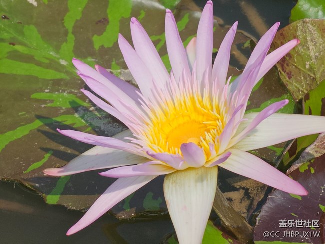 【被遺忘的角落】公園一角