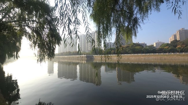 橋下晨跑拍的風(fēng)景