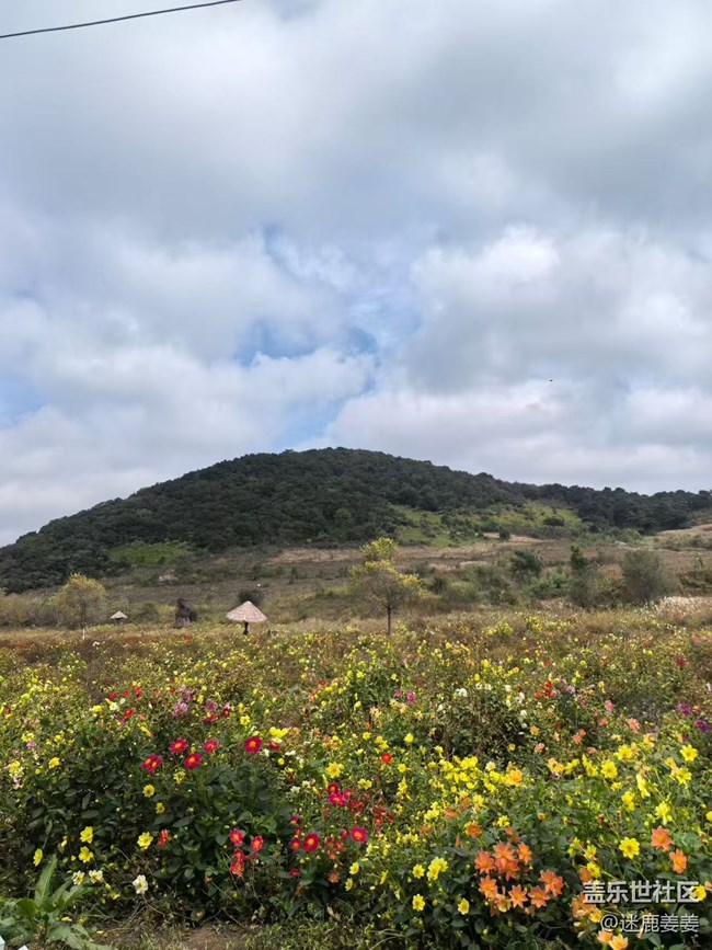 【旅途中的精彩時刻】秋游爬山，沿途風景，記錄