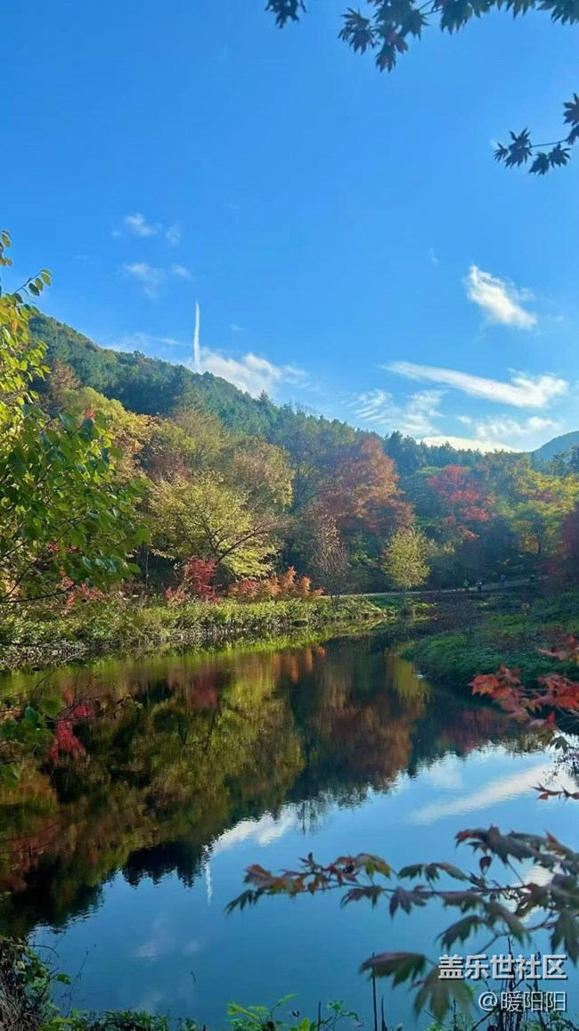 【旅途中的精彩時刻】本溪的楓葉紅了
