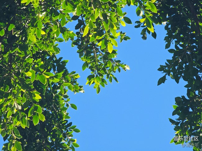 【被遺忘的角落】美妙時刻