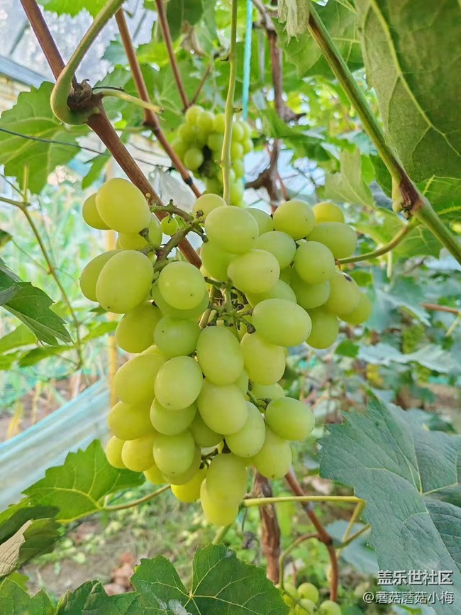 【旅途中的精彩時(shí)刻】秋天的樣子