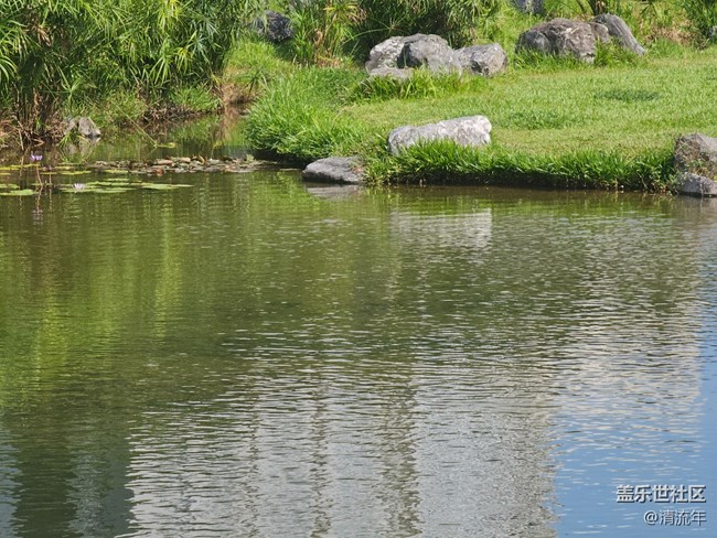 【被遺忘的角落】美妙時刻