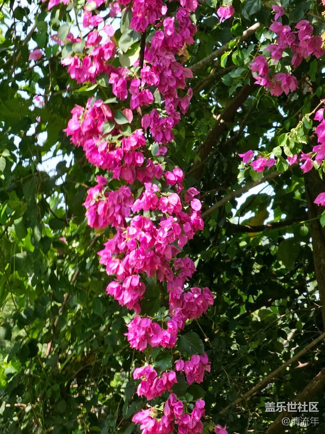 【被遺忘的角落】美妙時刻