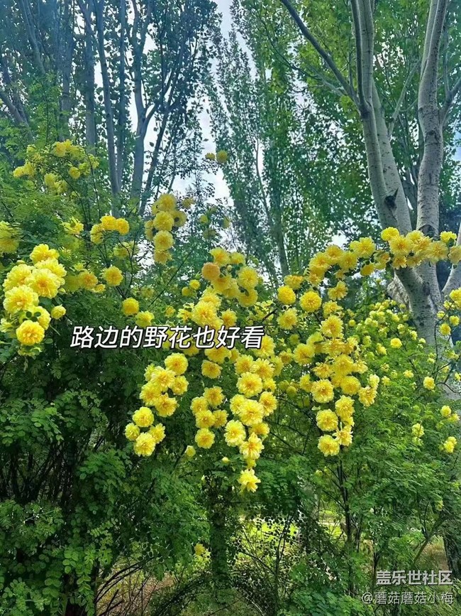 【旅途中的精彩時(shí)刻】秋天的樣子