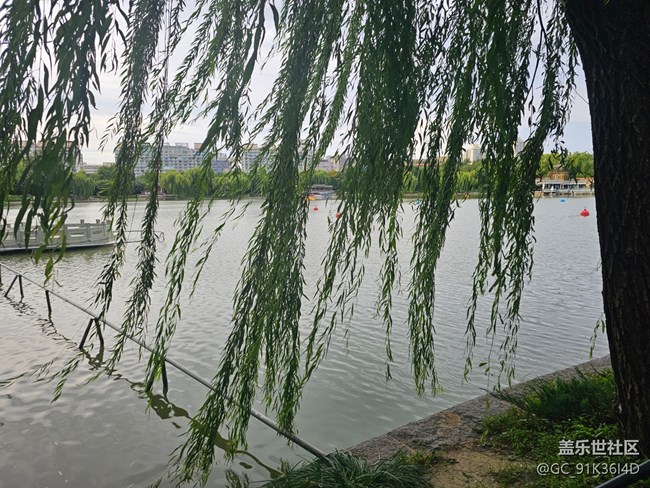 【生活微光】游園觀湖景