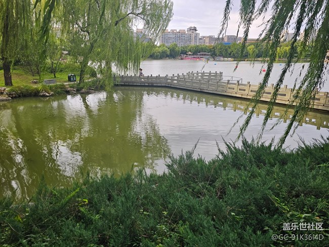 【生活微光】游園觀湖景
