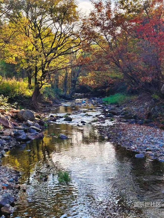 【旅途中的精彩時刻】本溪的楓葉紅了