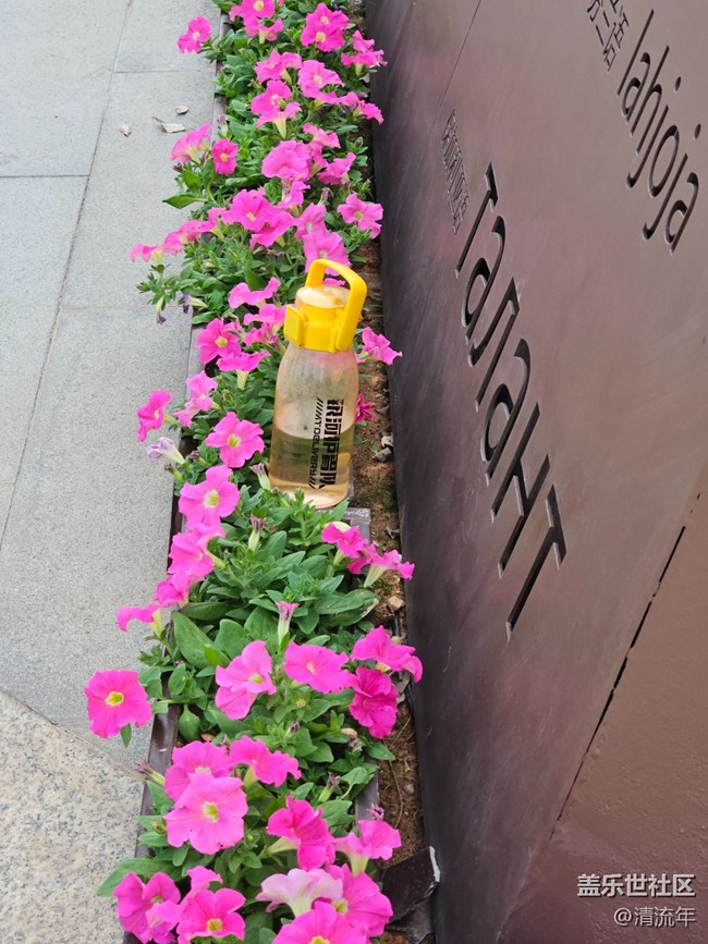 【我與蓋樂世社區(qū)】旅行瞬間