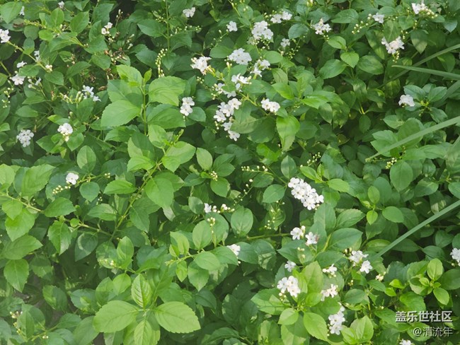 【我與蓋樂世社區(qū)】旅行瞬間