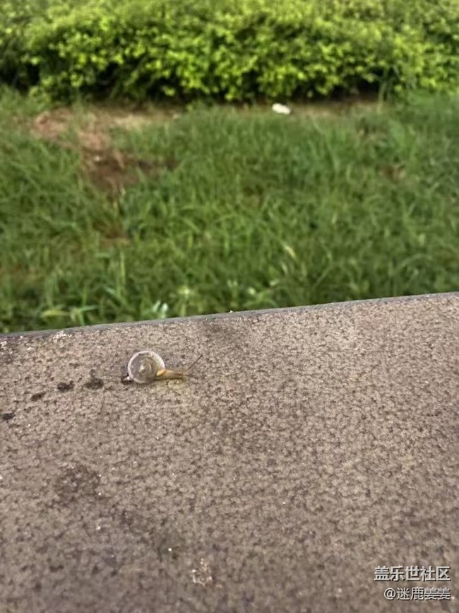 【旅途中的精彩時刻】秋游爬山，沿途風景，記錄