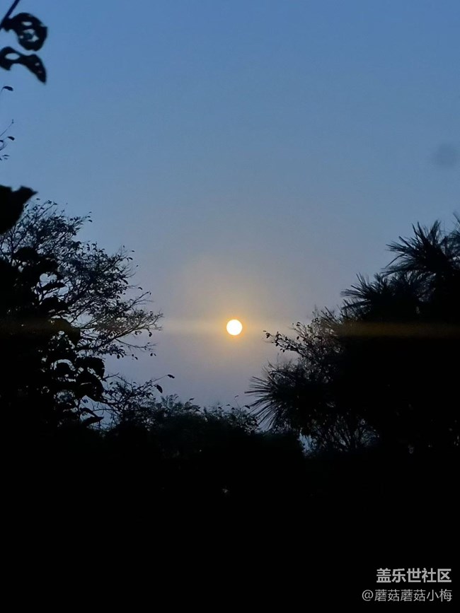 【旅途中的精彩時(shí)刻】秋天的樣子