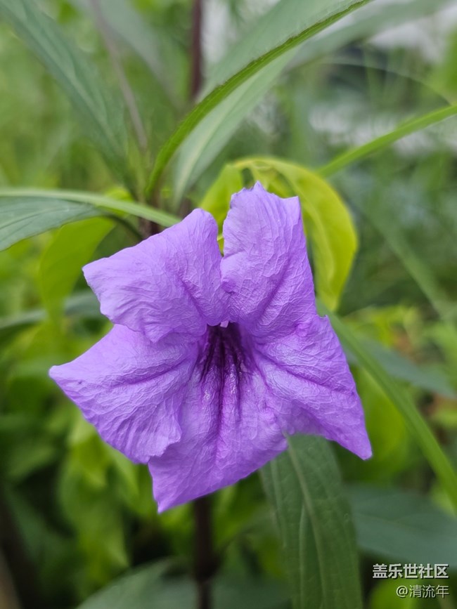 【捕捉生活中的對(duì)比色】美妙自然色彩