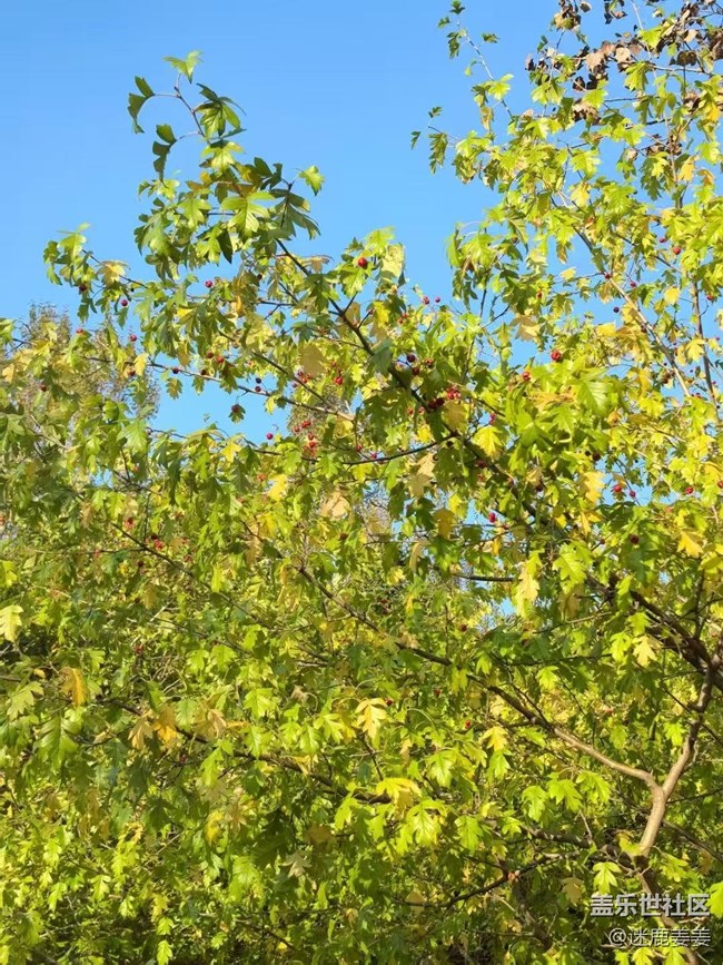 【旅途中的精彩時刻】秋游爬山，沿途風景，記錄