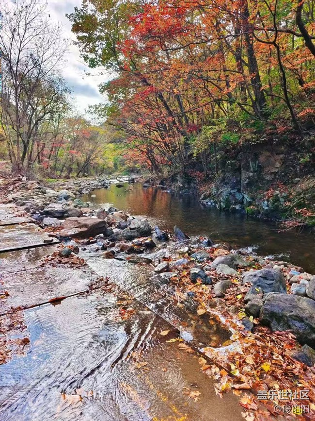 【旅途中的精彩時刻】本溪的楓葉紅了