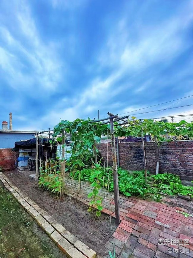 【旅途中的精彩時(shí)刻】十一的歸屬感，是回到農(nóng)村小院的那一刻。