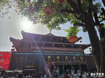 【小團圓】和我的小搭子