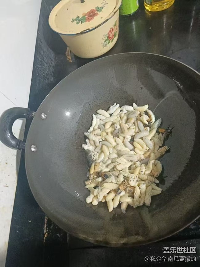 【賞味清秋】炸蜂蛹