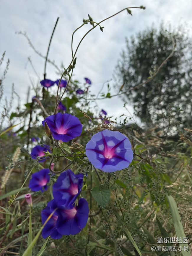 【旅途中的精彩時(shí)刻】秋天的樣子