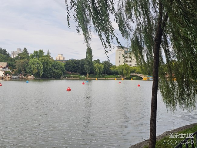 【生活微光】游園觀湖景
