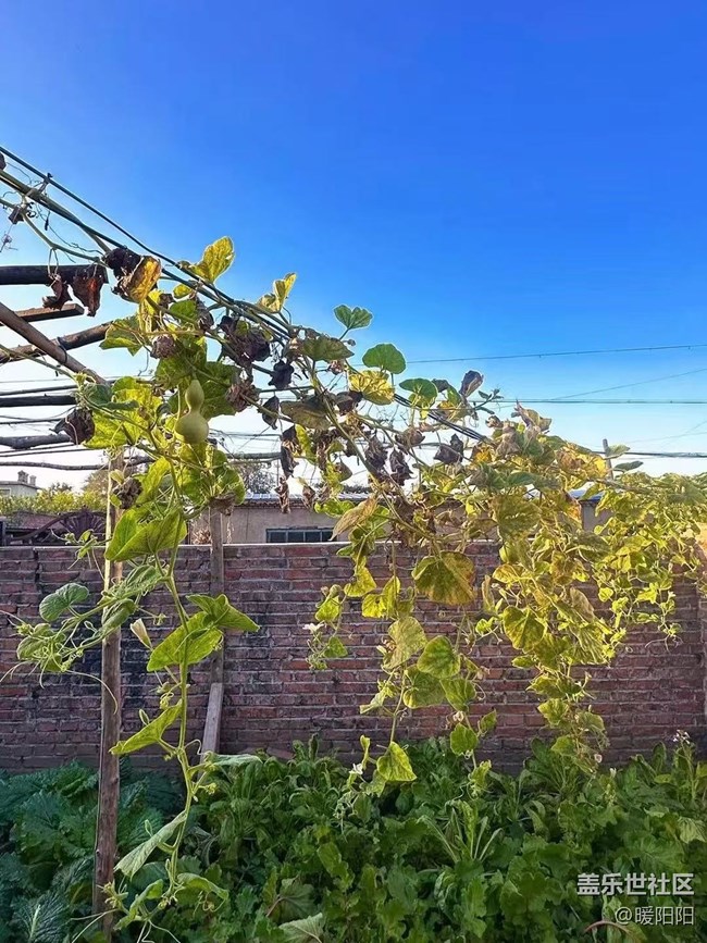 【旅途中的精彩時(shí)刻】十一的歸屬感，是回到農(nóng)村小院的那一刻。