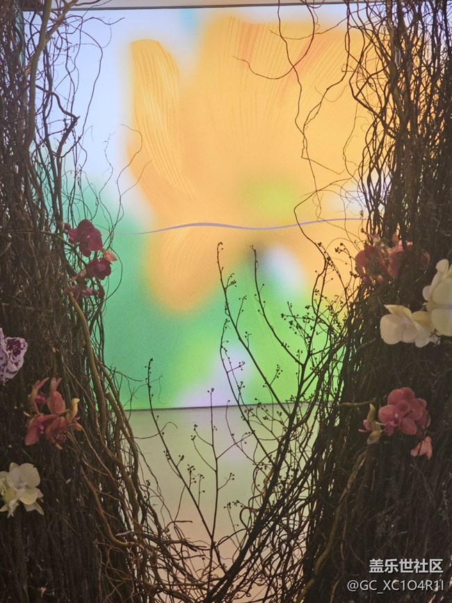 【我與蓋樂世社區(qū)】色彩日記