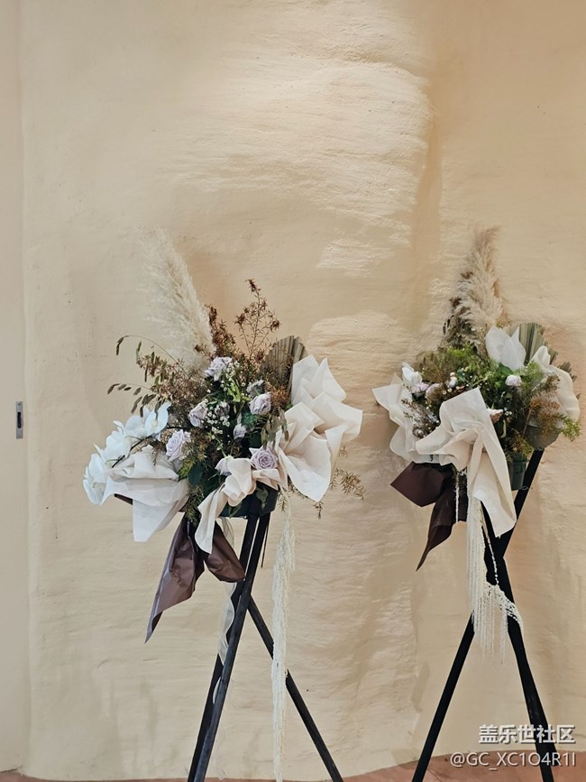 【我與蓋樂世社區(qū)】色彩日記