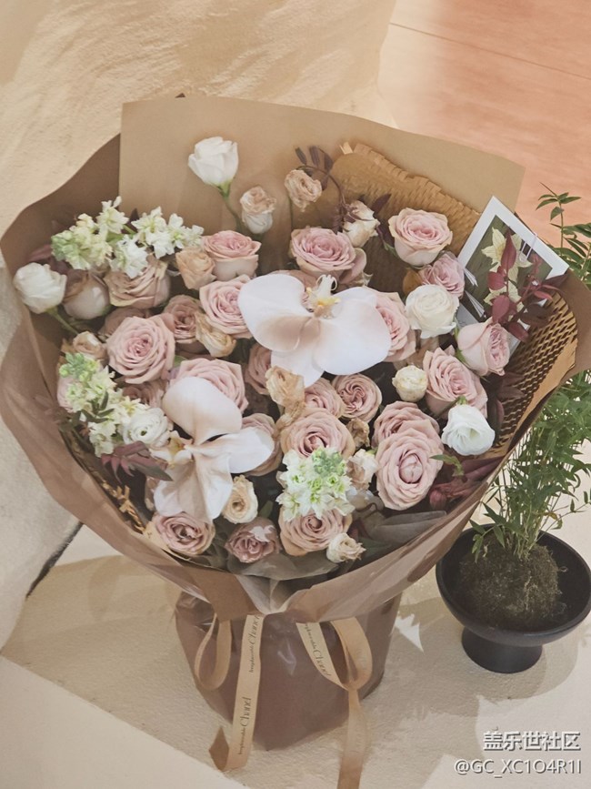 【我與蓋樂世社區(qū)】色彩日記