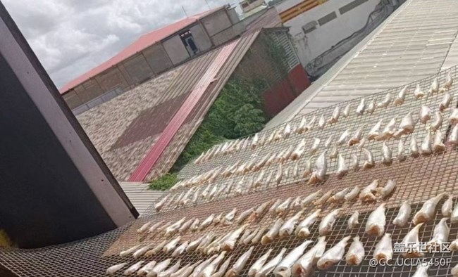 【賞味清秋】炸小魚