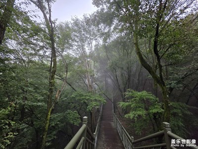 【小團圓】+雨后霧山