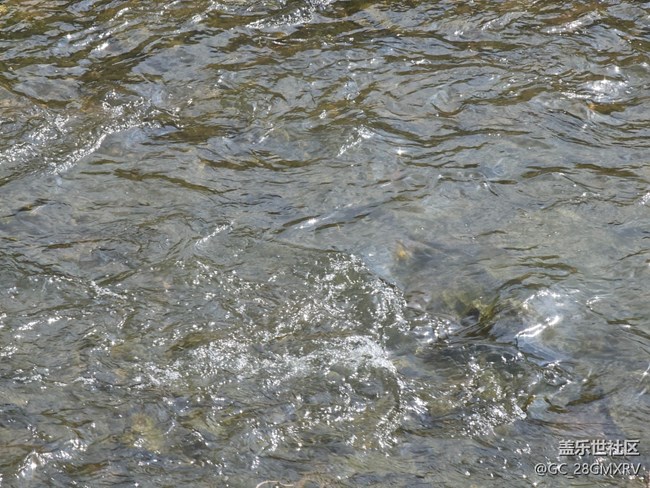 【我與蓋樂世社區(qū)】快樂老家