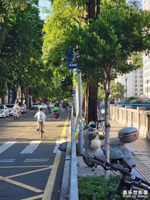 【小團(tuán)圓】晴天隨拍