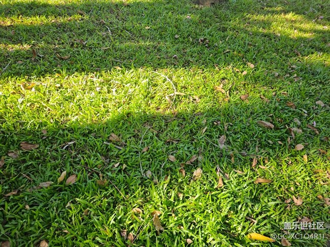 【歡迎來我的家鄉(xiāng)】家鄉(xiāng)景色