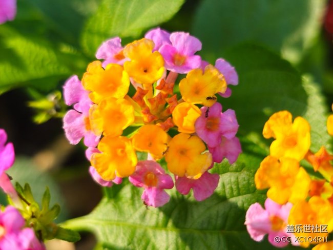 【被遺忘的角落】轉(zhuǎn)角色彩