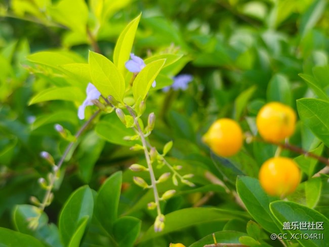 【被遺忘的角落】轉(zhuǎn)角色彩