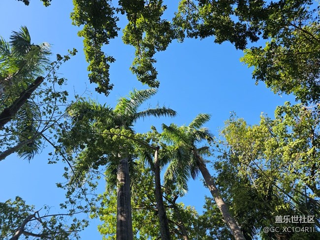 【歡迎來我的家鄉(xiāng)】家鄉(xiāng)景色