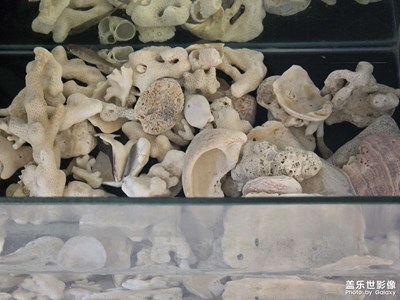 【小團(tuán)圓】記錄生活